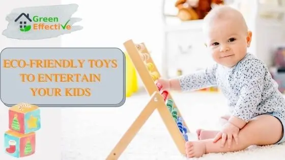 Eco-friendly Toys